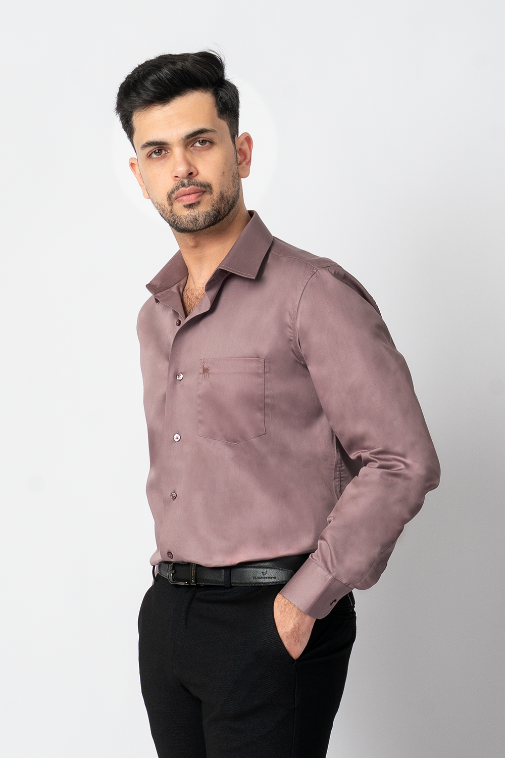 Wrinkle free Onion Pink Formal Shirt